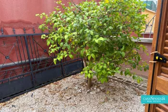 listing-small