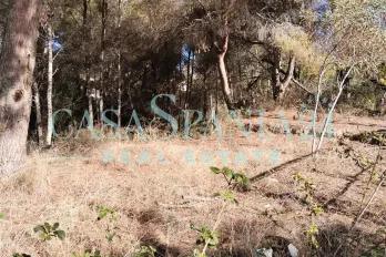 listing-small
