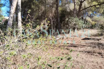 listing-small