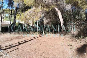 listing-small